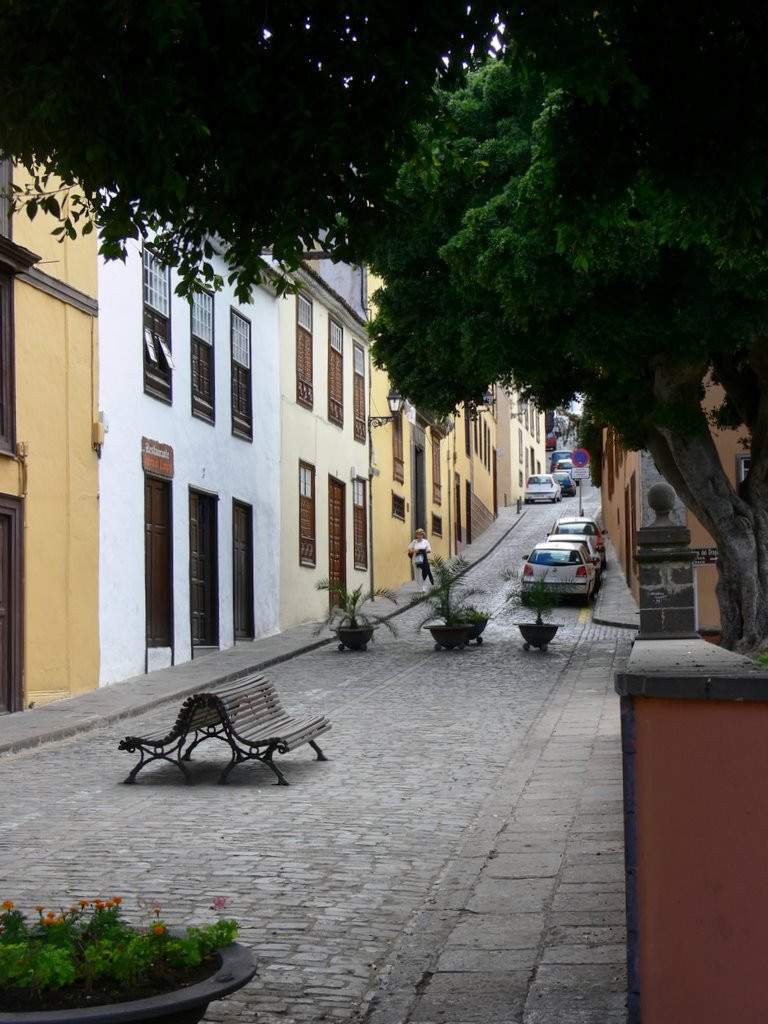 Икод-де-лос-Винос, Тенерифе остров, Канарские острова, фото № 33055 – фотографии Канарских островов