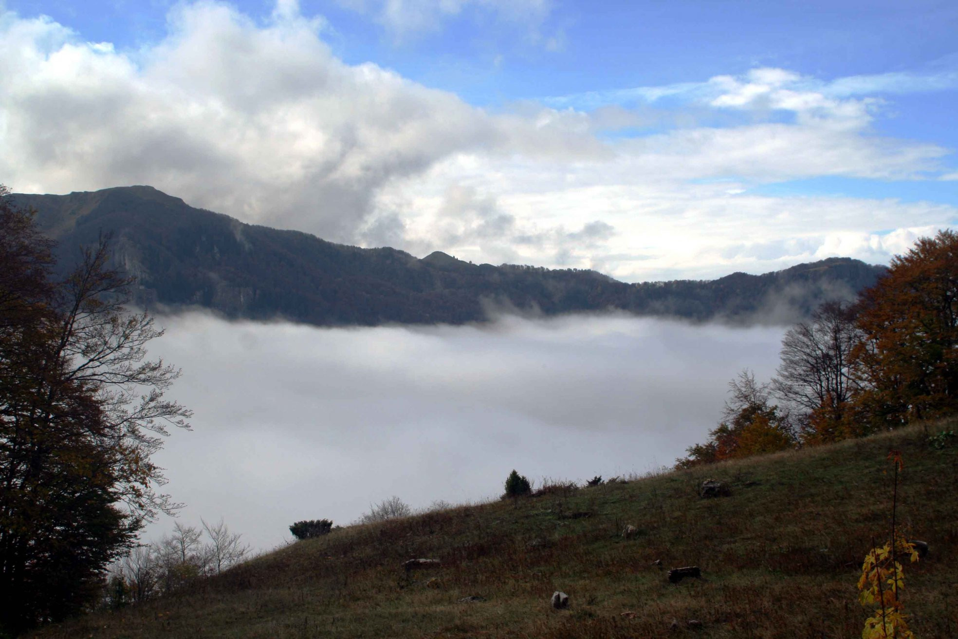 Туман в Национальном парке, Черногория. Фото 1 – фотографии Черногории