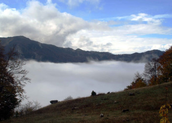 Туман в Национальном парке, Черногория. Фото 1 – фотографии Черногории