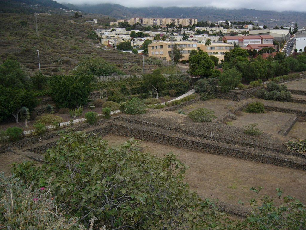 Гуимар, Тенерифе остров, Канарские острова, фото № 33021 – фотографии Канарских островов