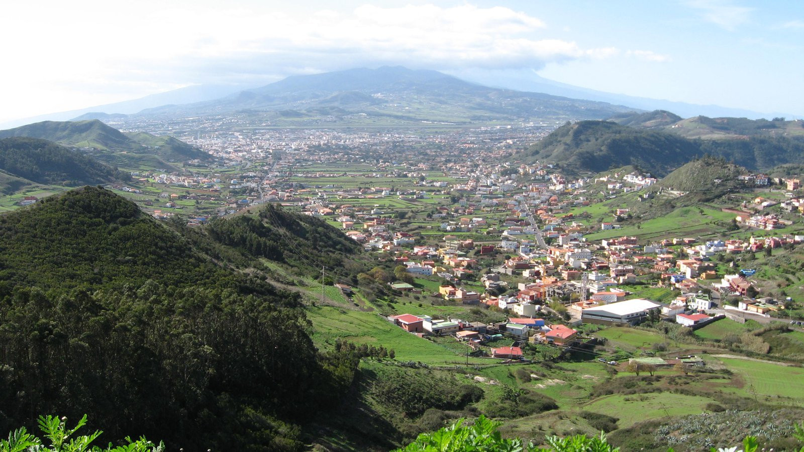Сан-Кристобаль-де-ла-Лагуна, Тенерифе остров, Канарские острова, фото № 33262 – фотографии Канарских островов