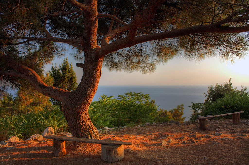 Природа на острове Лошинь, Хорватия. Фото 2 – фотографии Хорватии