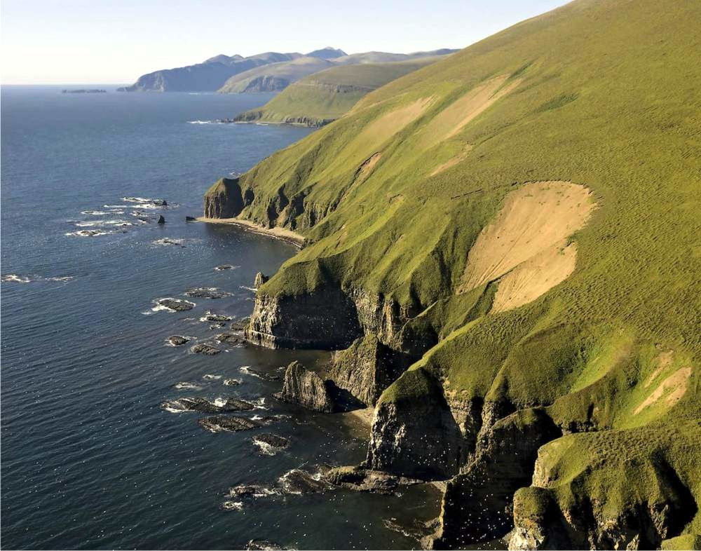 Командорские острова, Россия. Фото 2 – фотографии России