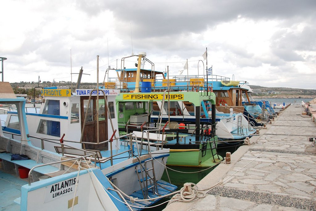 Айя-Напа, Кипр, фото № 37495 – фотографии Кипра