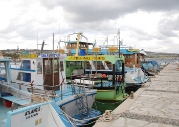 Айя-Напа, Кипр, фото № 37495 – фотографии Кипра