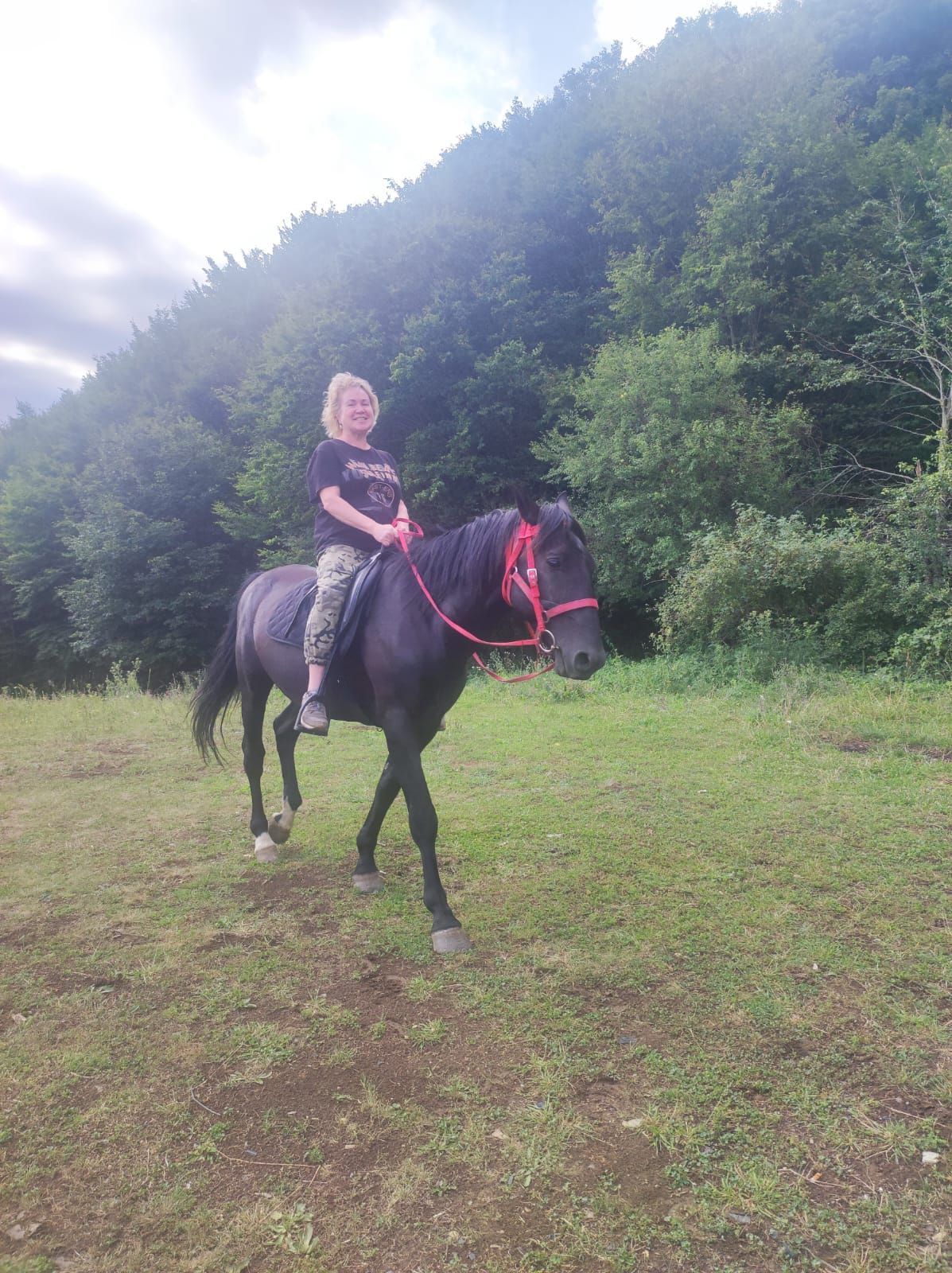 Кемпинг "Дубовая роща" – фотографии