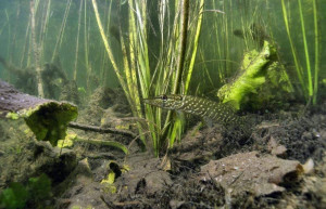 разное – фотографии России