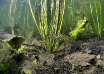 разное – фотографии России