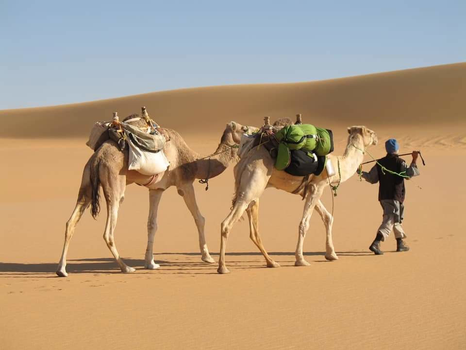 Египет – фотографии Египта