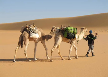 Египет – фотографии Египта