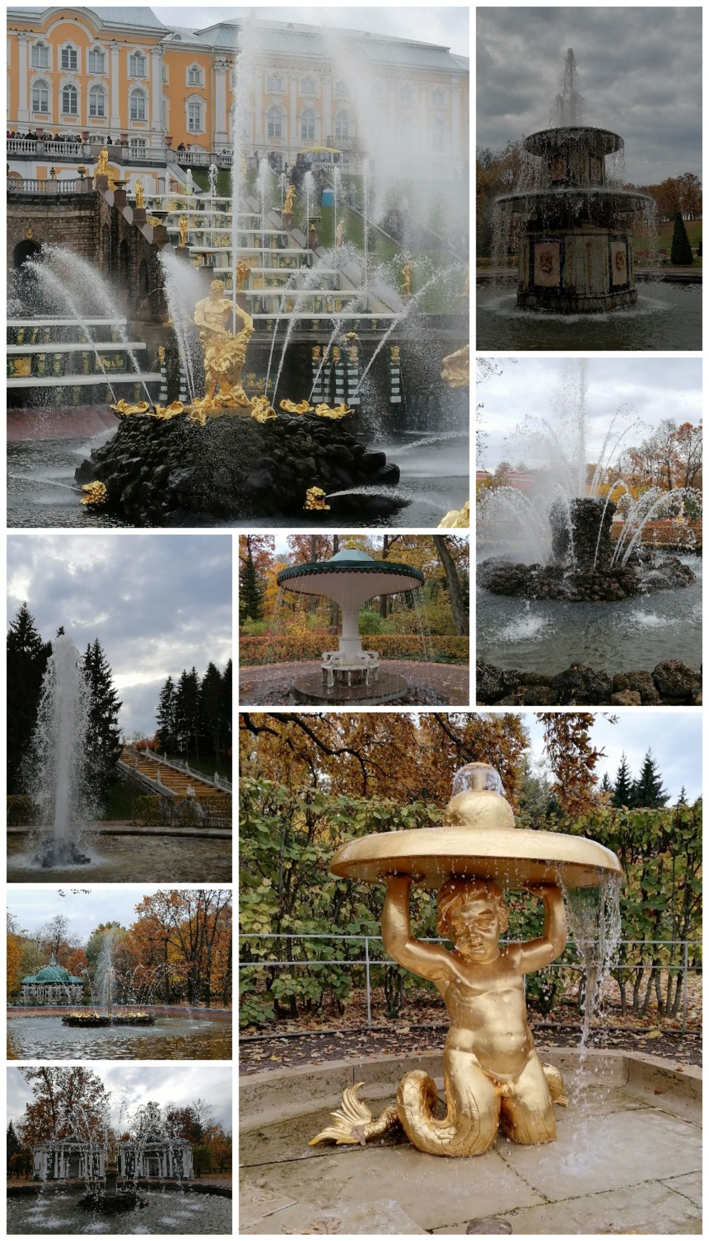 Золотая осень Петергофа – фотографии России