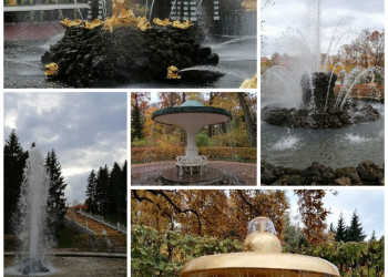Золотая осень Петергофа – фотографии России