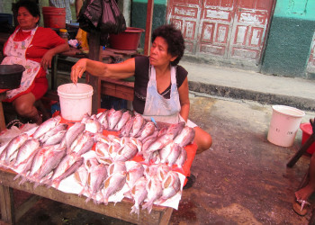 Рынок в Белене – фотографии Перу