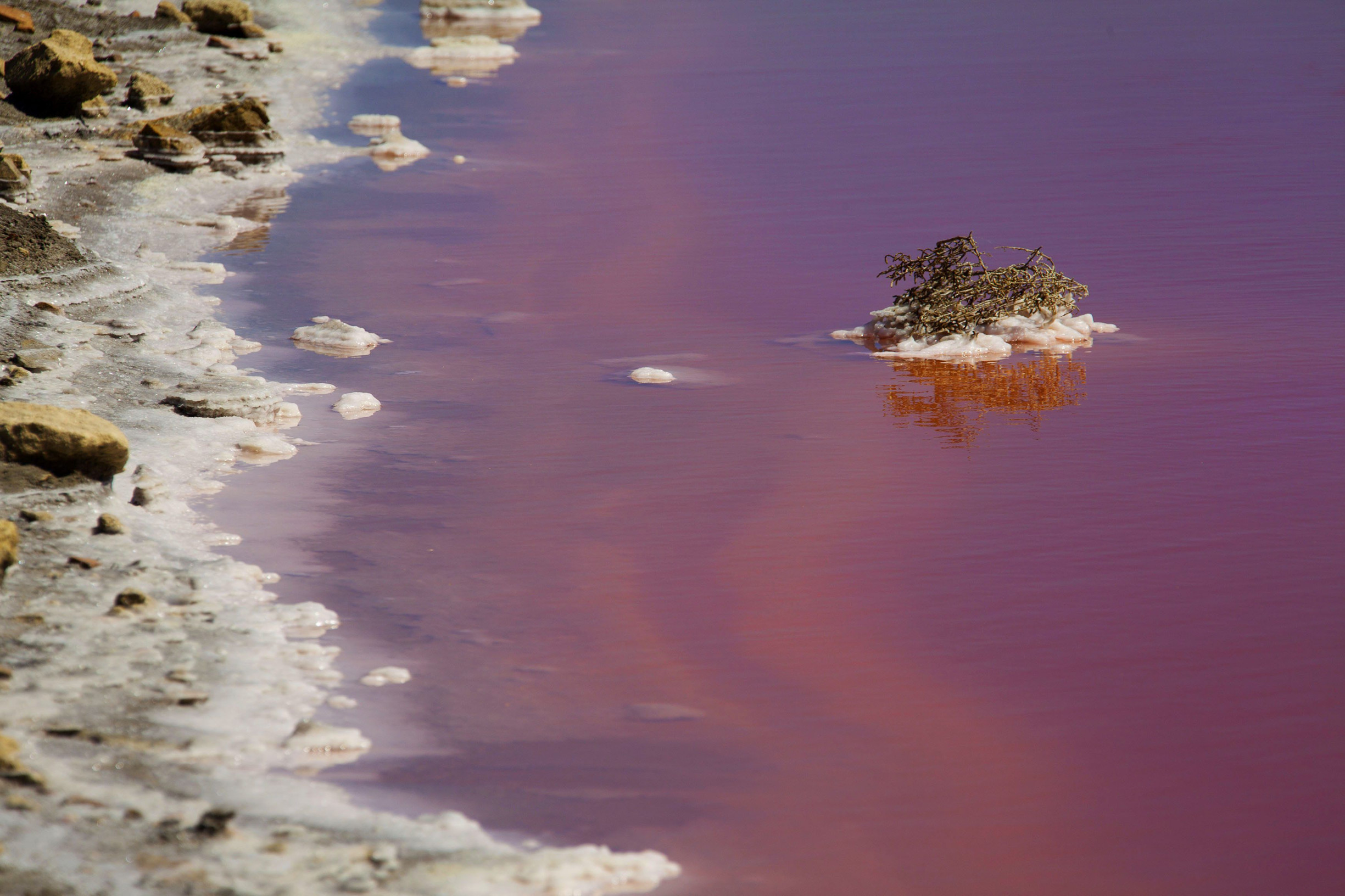 Розовое озеро в Сенегале 6 – фотографии Сенегала