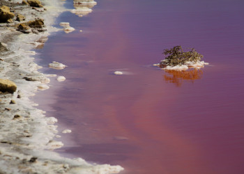 Розовое озеро в Сенегале 6 – фотографии Сенегала