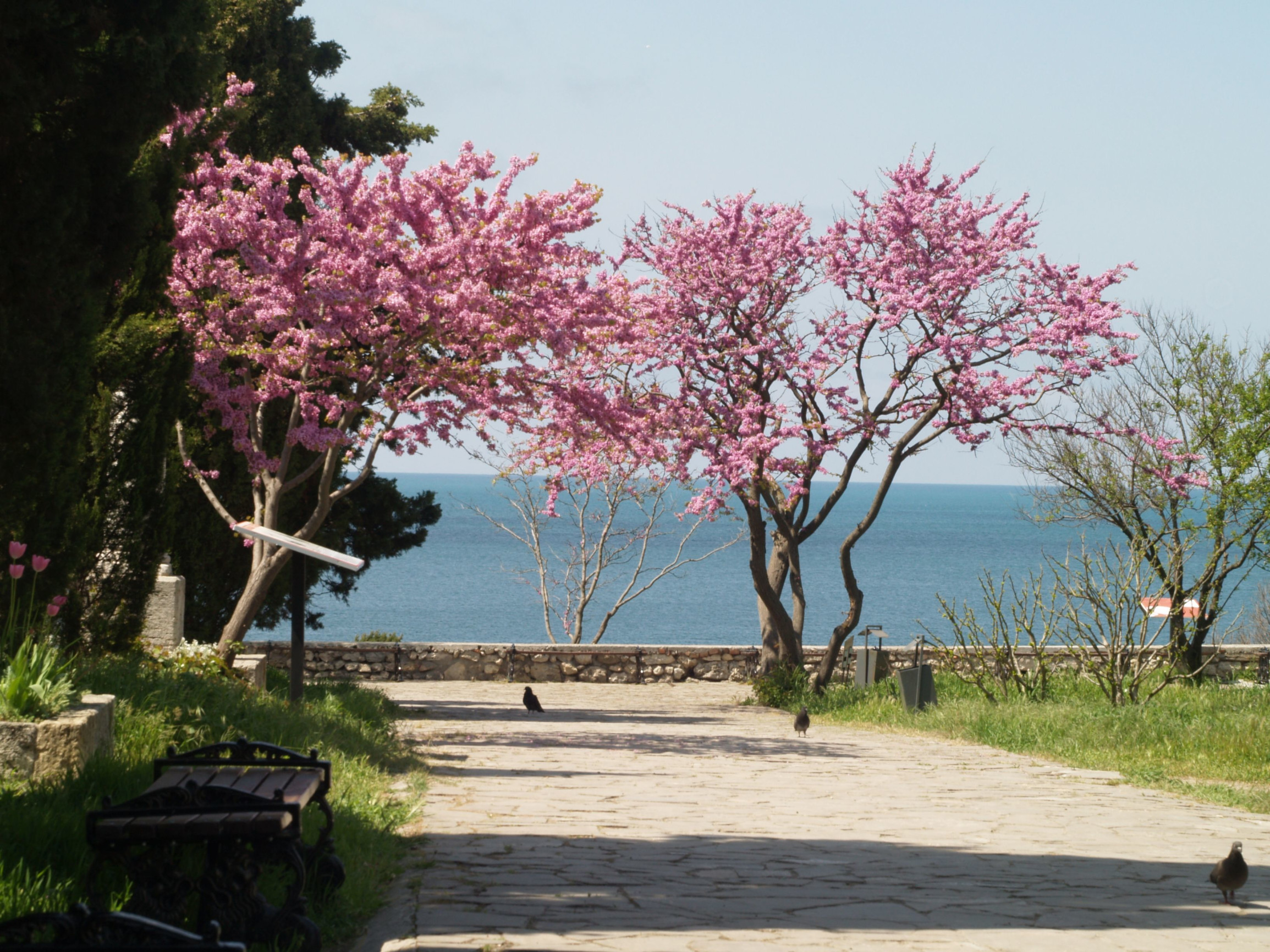Херсонес Таврический – фотографии России