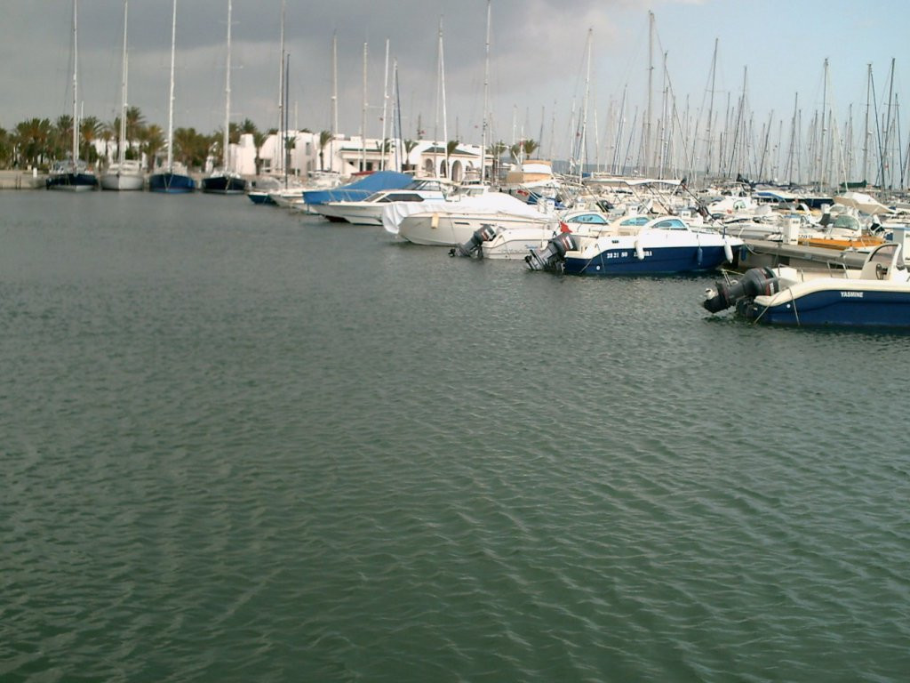 Лодочная станция в Северном Тунисе. Фото 5 – фотографии Туниса