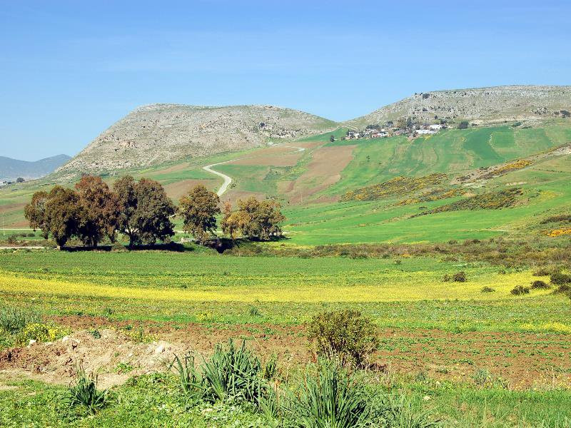 Природа Туниса – фотографии Туниса