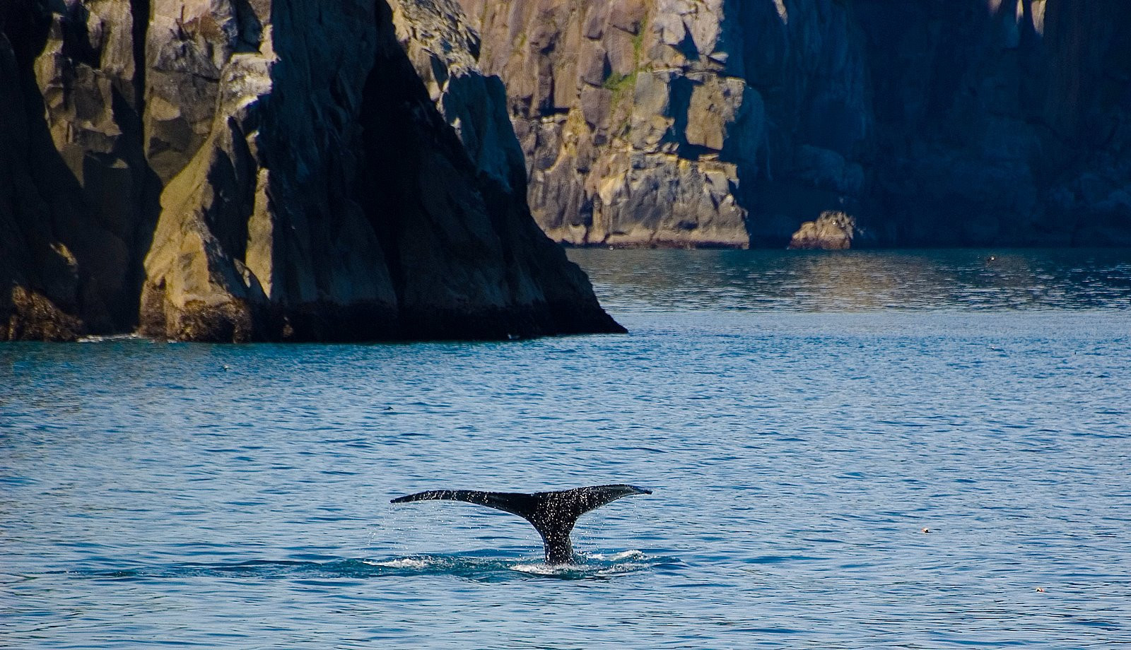 Аляска штат, США, фото № 67666 – фотографии США