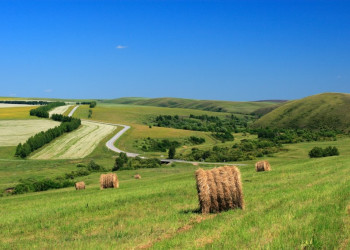 Сенокос – фотографии России