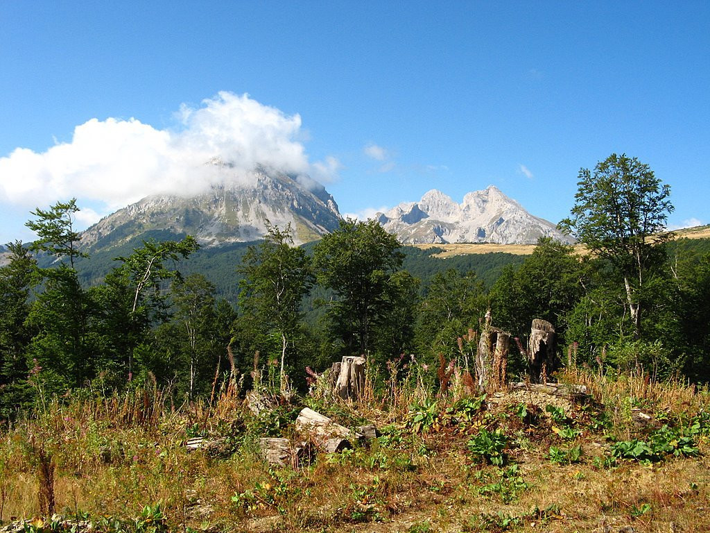 Природа Национального парка, Черногория. Фото 11 – фотографии Черногории