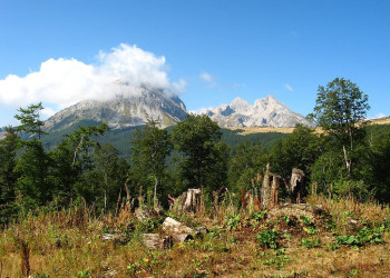 Природа Национального парка, Черногория. Фото 11 – фотографии Черногории
