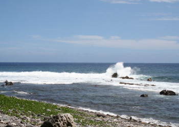 Сен-Жозеф, остров Реюньон. Фото 12 – фотографии Реюньона