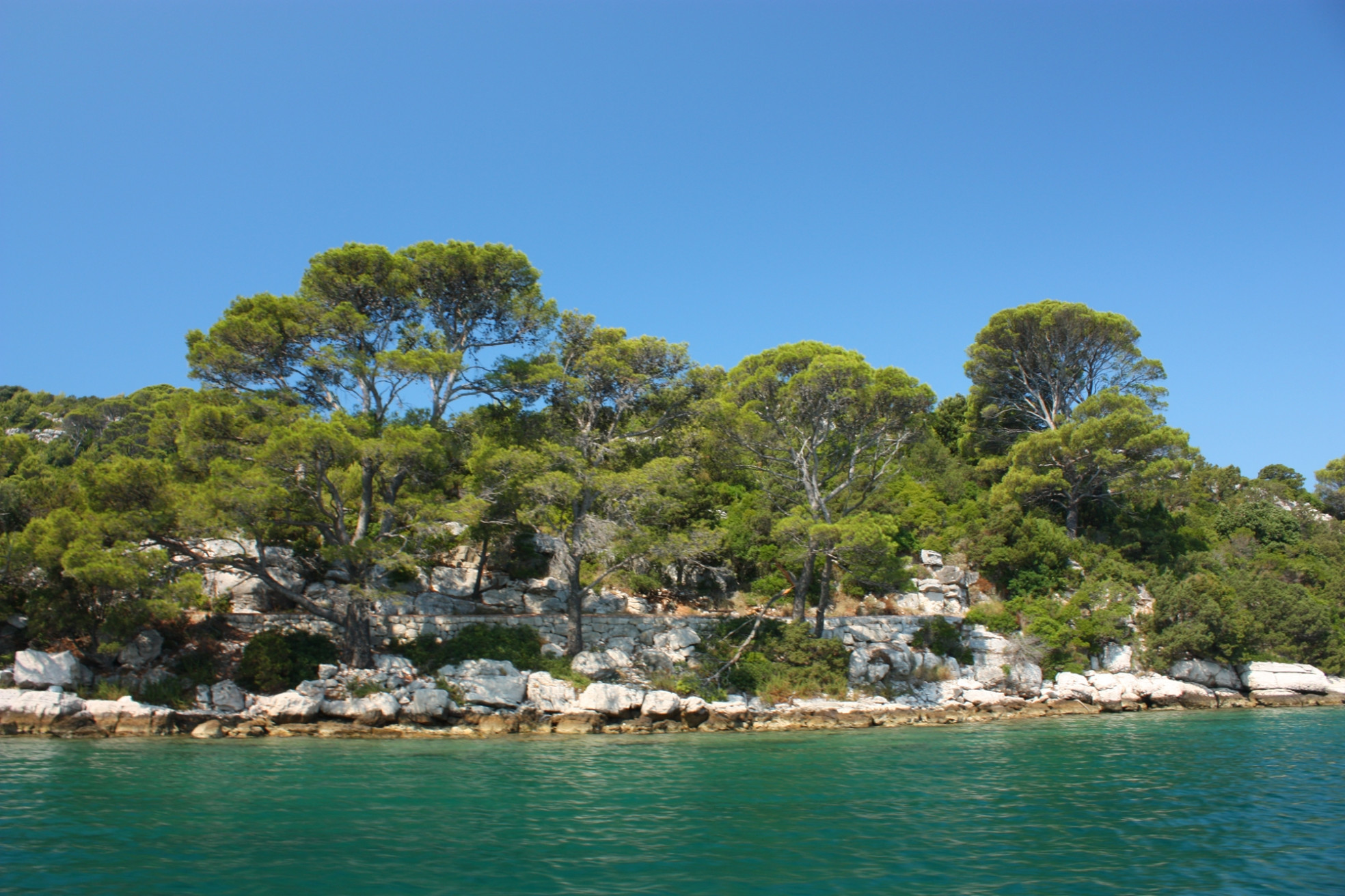 Берега на острове Млет, Хорватия. Фото 9 – фотографии Хорватии