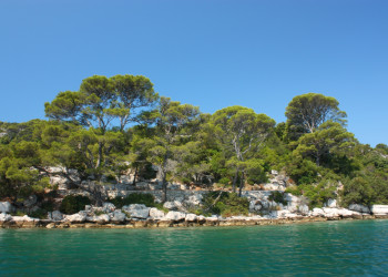 Берега на острове Млет, Хорватия. Фото 9 – фотографии Хорватии