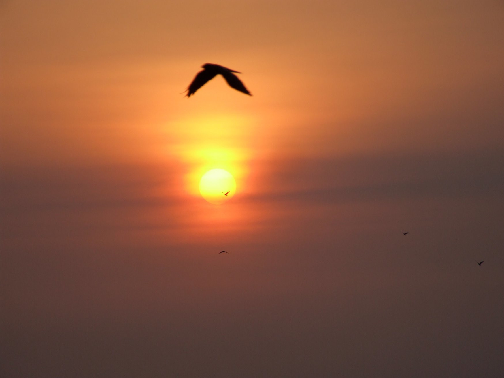 Баттикалоа, Шри-Ланка, фото № 50584 – фотографии Шри-Ланки