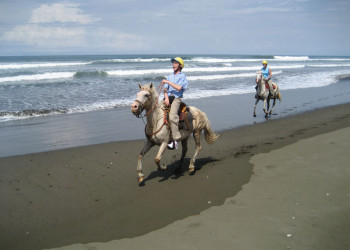 Куэпос, Пунтаренас провинция, Коста-Рика, фото № 40559 – фотографии Коста-Рики