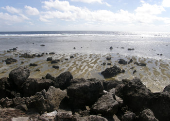 Остров Науру (Nauru), 42 километра от экватора – фотографии Науру