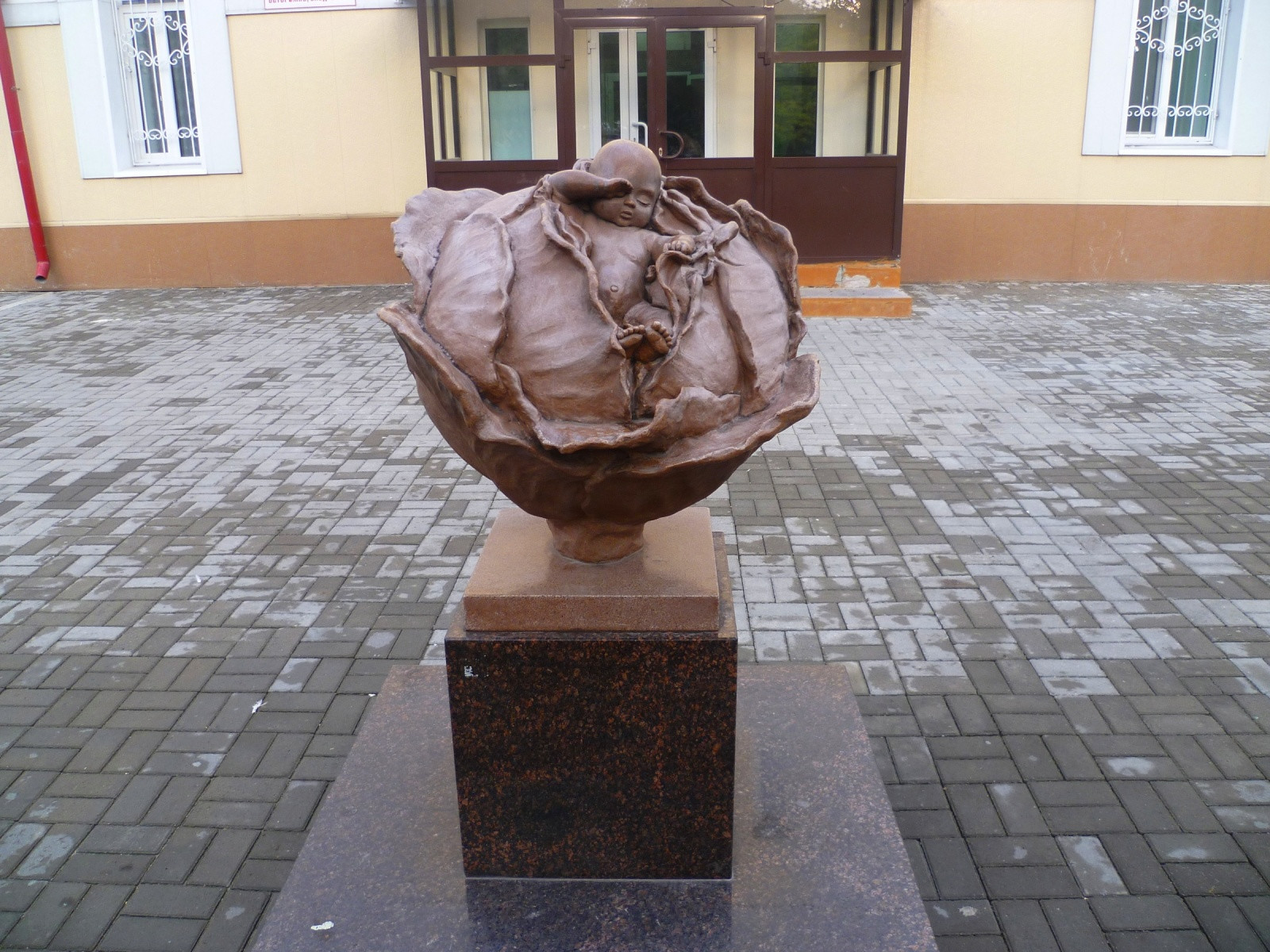 Младенец в капусте, Томск – фотографии России