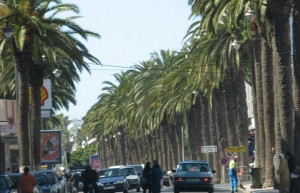 Эль-Жадида, Марокко, фото № 8694 – фотографии Марокко