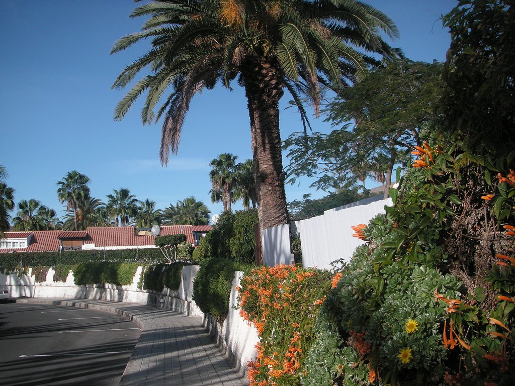 Пасито-Бланко, Гран-Канария остров, Канарские острова, фото № 31110 – фотографии Канарских островов