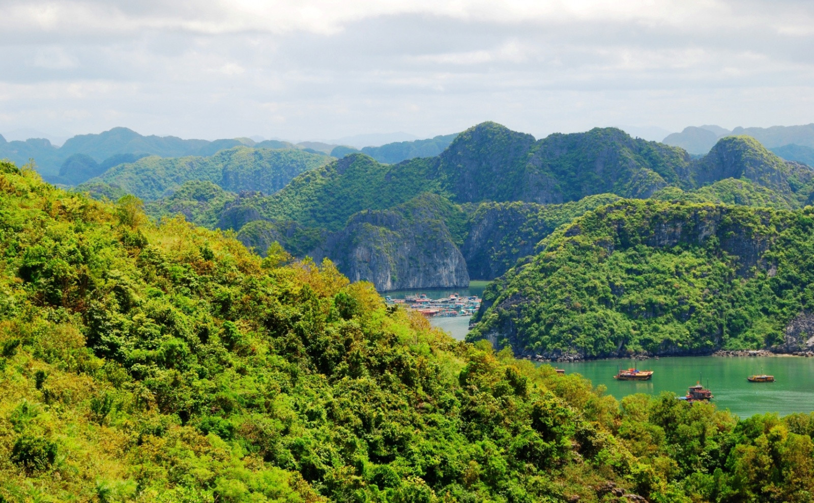 Все острова в заливе Халонг покрыты густой растительностью – фотографии Вьетнама