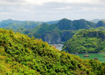 Все острова в заливе Халонг покрыты густой растительностью – фотографии Вьетнама