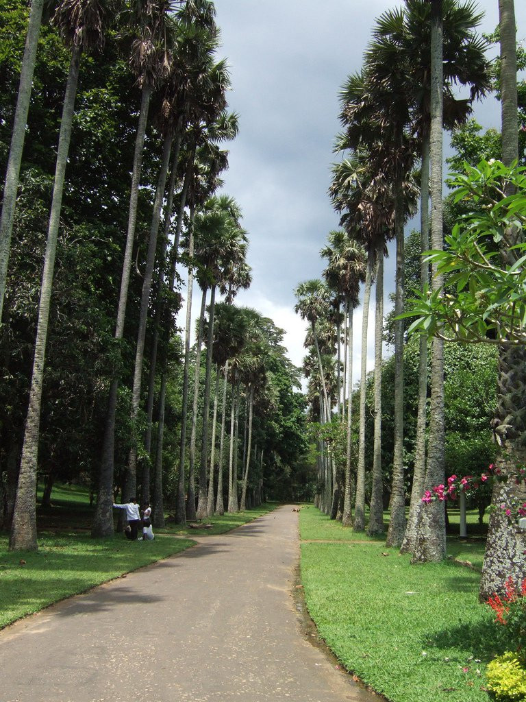 Канди, Шри-Ланка, фото № 51385 – фотографии Шри-Ланки