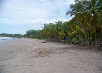 Плайя Карильо, Гуанакасте провинция, Коста-Рика, фото № 39524 – фотографии Коста-Рики