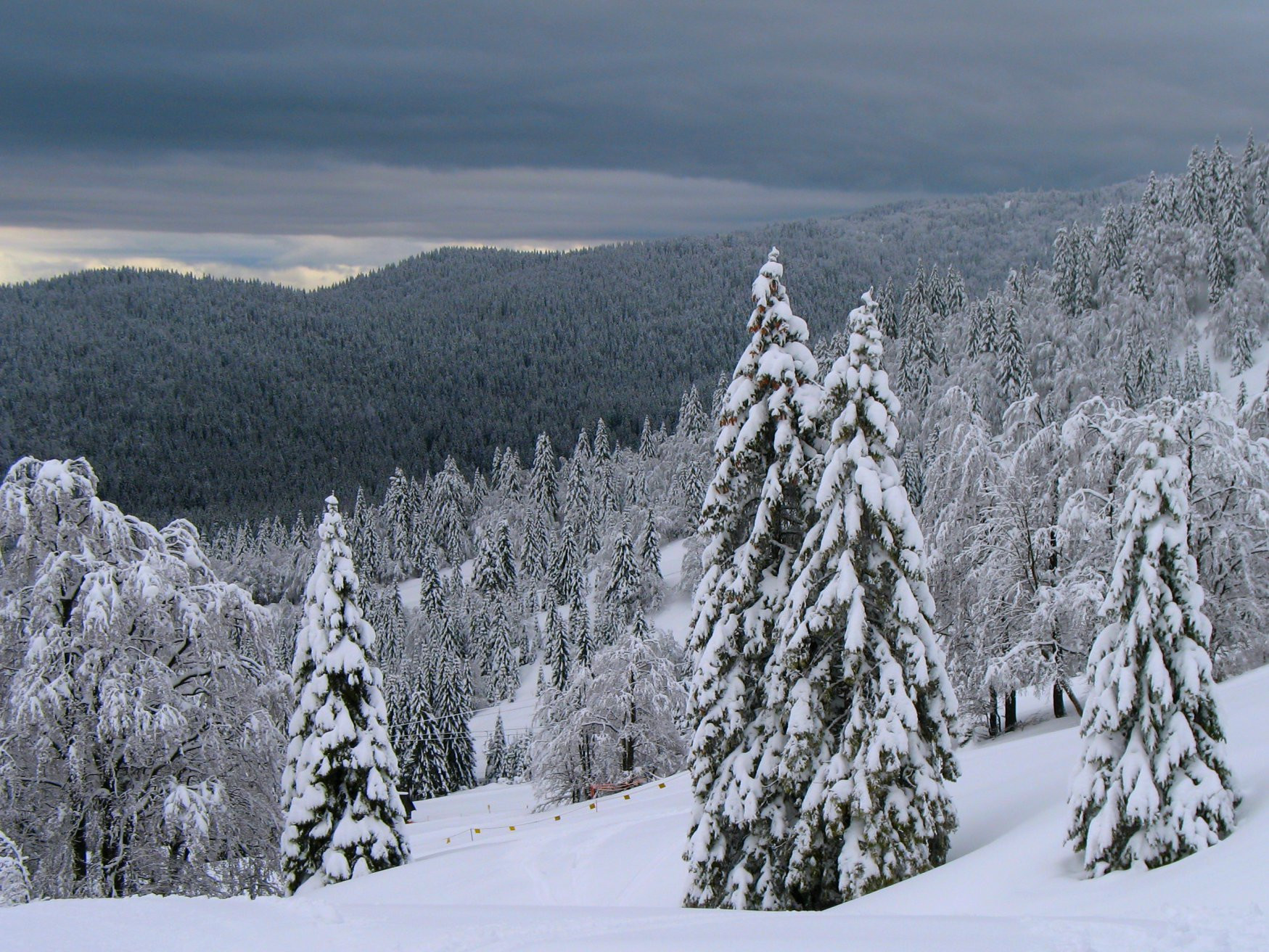 Соришка Планина, Словения, фото № 57558 – фотографии Словении