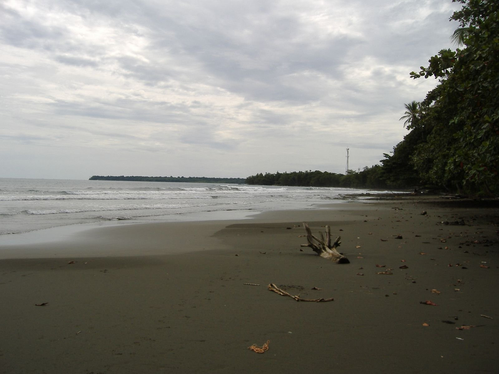 Кауита, Лимон провинция, Коста-Рика, фото № 40053 – фотографии Коста-Рики