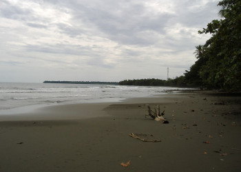 Кауита, Лимон провинция, Коста-Рика, фото № 40053 – фотографии Коста-Рики