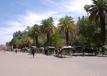 Марракеш, Марокко, фото № 7711 – фотографии Марокко