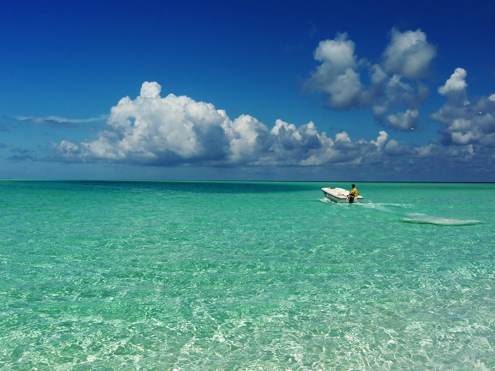 Северный Ари атолл, Ари атолл, Мальдивы, фото № 76865 – фотографии Мальдивских островов