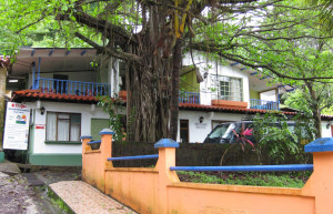 Монтезума, Пунтаренас провинция, Коста-Рика, фото № 40814 – фотографии Коста-Рики