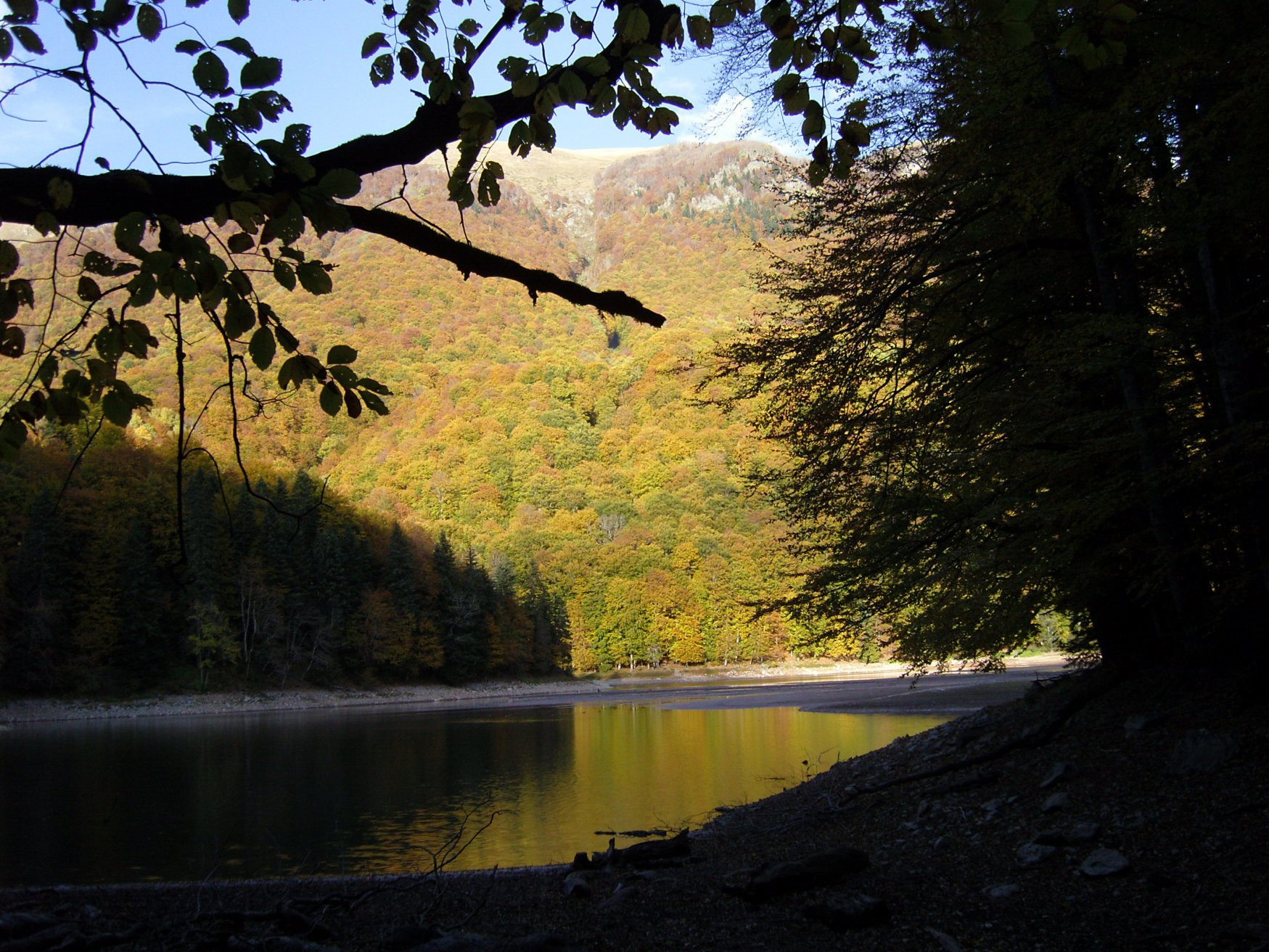 Природа Национального парка, Черногория. Фото 22 – фотографии Черногории