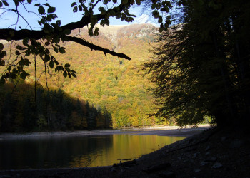 Природа Национального парка, Черногория. Фото 22 – фотографии Черногории
