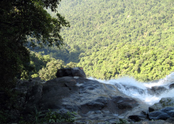 Парк Батьма – фотографии Вьетнама