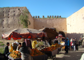 Мекнес, Марокко, фото № 7794 – фотографии Марокко