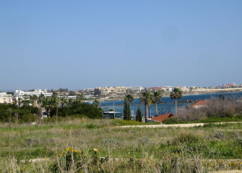 Пафос, Кипр, фото № 38597 – фотографии Кипра